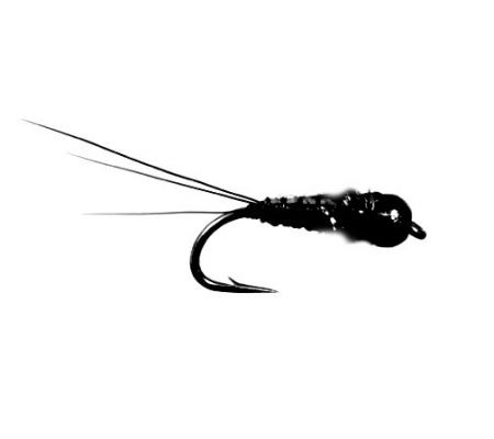 NYMPH Black Tungsten - 1 dozen